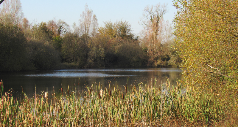 Lower Moor (c) Ellie Dodson